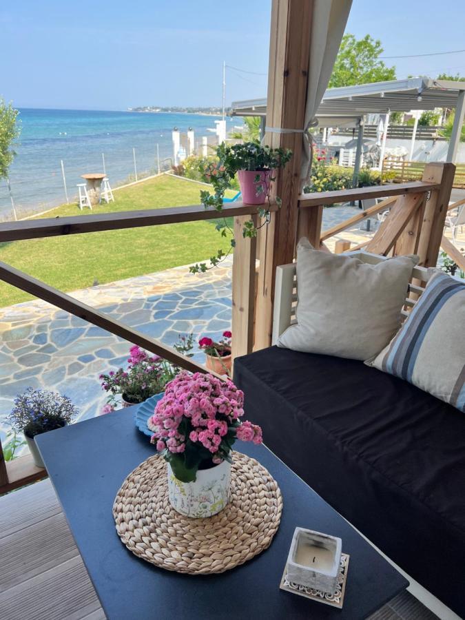 Beachfront Villa Athina Vergia Dış mekan fotoğraf